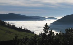 Schoene Aussicht